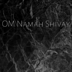 Om Namah Shivay
