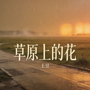 草原上的花_伴奏