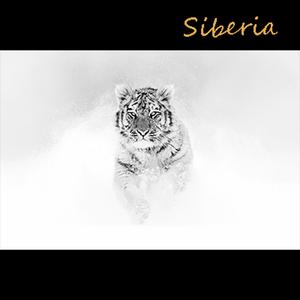 siberia