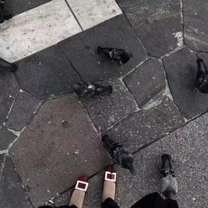 口是心非（翻自 丫蛋蛋）