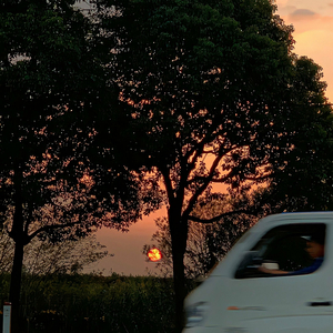 夏日海风 (冬日对夏日海风的执念)