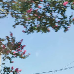 Psychic Wander（心灵漫游）（Prod.by COAST MUSIC）