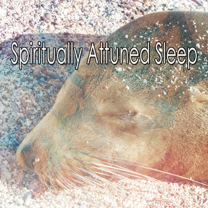 Soaring High With Hope