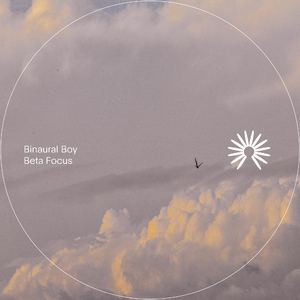 Beta Focus (93.1Hz - 117.6Hz)