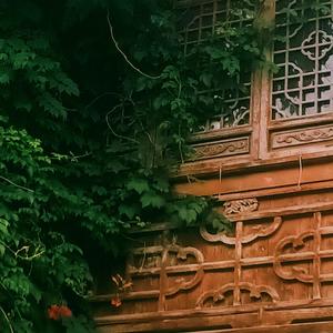 Deep Dreams in Ancient Alleys古巷幽夢-Pipa soft music&Relaxation&Oriental Music&Instrumental