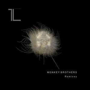 Dust Brothers (Monkey Brothers Remix)
