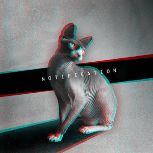 Notification