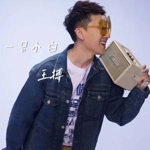一只小白 伴奏