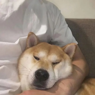 中文DJ 咚鼓经典