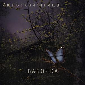Бабочка