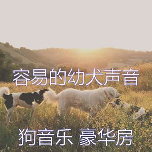 一尘不染小狗印象数