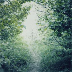 Verdant Compost (Purl Version I)