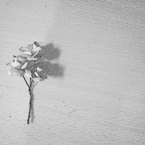 我在你身旁（demo）