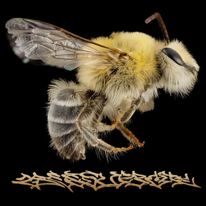 clear vision (84% Reverb)