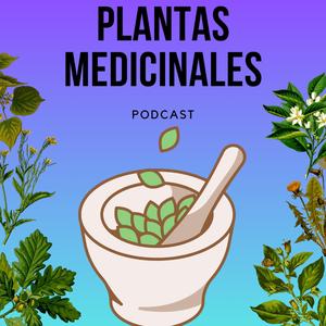 Planta ortiga.