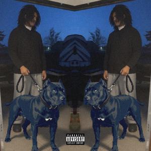 Dogs