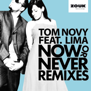 Now Or Never (Plastik Funk Remix)