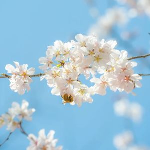 草编蚱蜢带来的惊喜