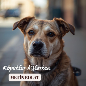 Köpekler Ağlarken