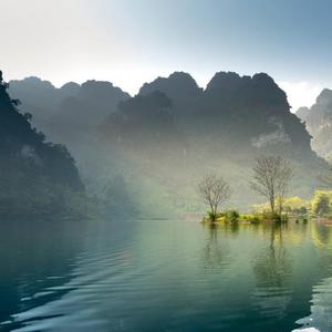 回归是为了回不来的人们