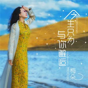 今生只为与你邂逅