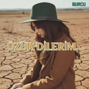 Özür dilerim