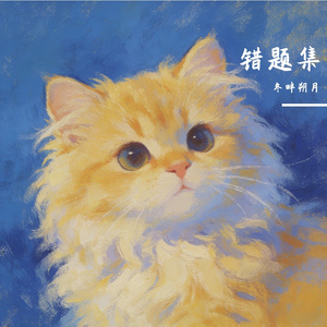错题集SOUL