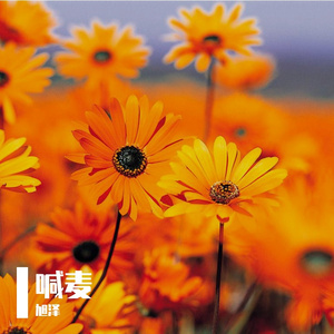 万古星云曲_旭泽i