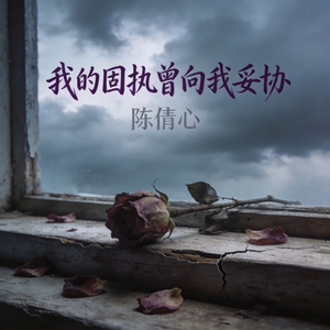 我的固执曾向我妥协