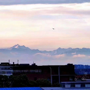 搭在butterfly的翅膀上