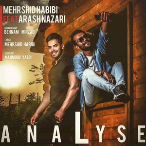 Analyse (feat. Arash Nazari)