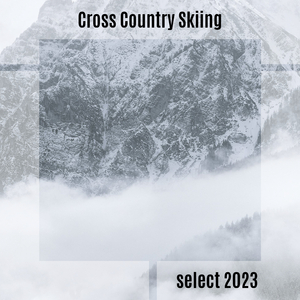 Balatronic (Pitch+4)