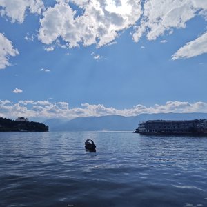 《从幸运草到巨轮》