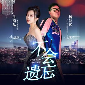 不会遗忘 (DJ版)