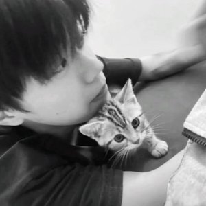 你比冬天先来 又比冬天先走