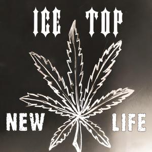 Төөрсөөр төрөлдөө (feat. BOBBY D) (remix)