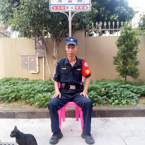 无痛屠宰