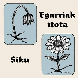 Betiko kontuak