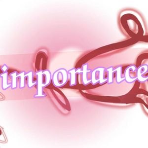 importance（prod.Echo43)