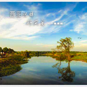 西淝河畔好风光