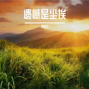 遗憾是尘埃