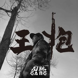 真不是给你扇哩