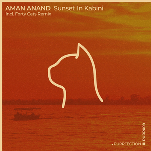 Sunset in Kabini (Forty Cats Remix)