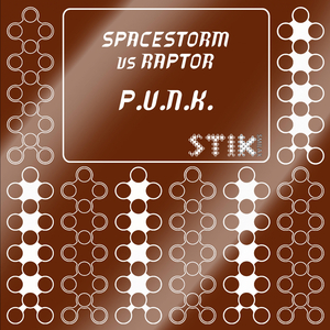 P.u.n.k. (Spacestorm Mix)