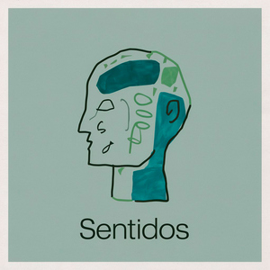 Sentidos