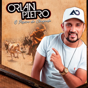 Toró Amarrado no Pé da Cajarana