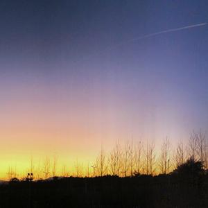 我脑海里的情景