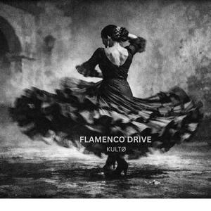Flamenco Drive (Spanish Techno 124 BPM)