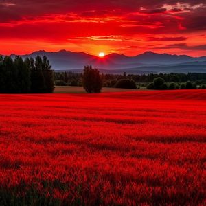 Россия моя родная страна