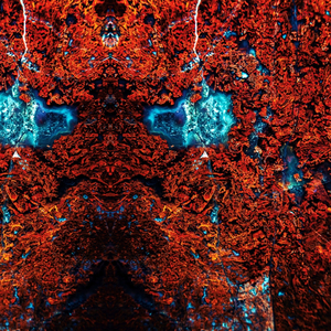 Ecstastic Victorious